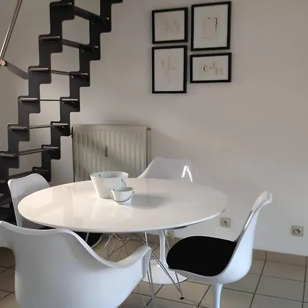 Fijne Studio Op Het Zuid Daire *